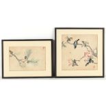 Property of a gentleman - two early 20th century Chinese paintings on paper, one depicting a bird on