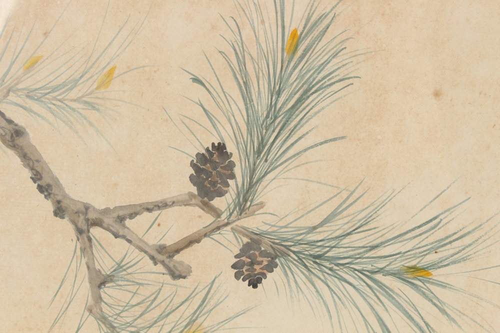 Property of a gentleman - two early 20th century Chinese paintings on paper, one depicting a bird on - Image 4 of 7