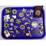 An Assortment of Costume Brooches and Stick Pins, to include gilt coloured, Kitsch style,