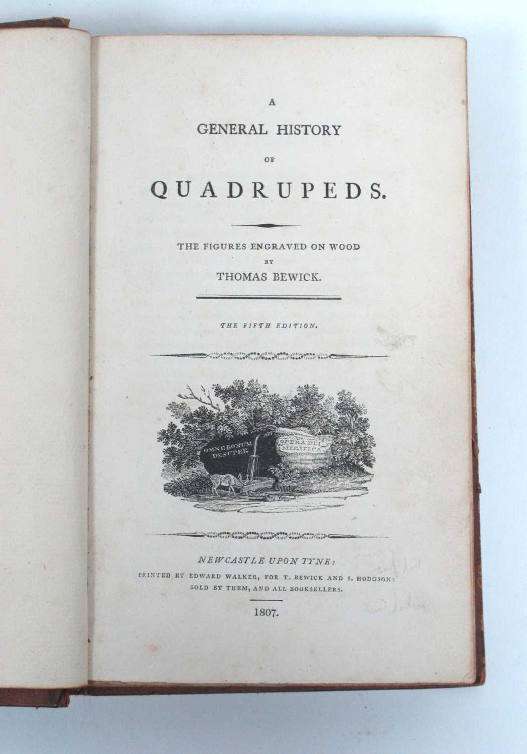 Bewick [Thomas] : A General History of Quadrupeds, 5th edition, printed for Edward Walker, Newcastle - Image 2 of 2