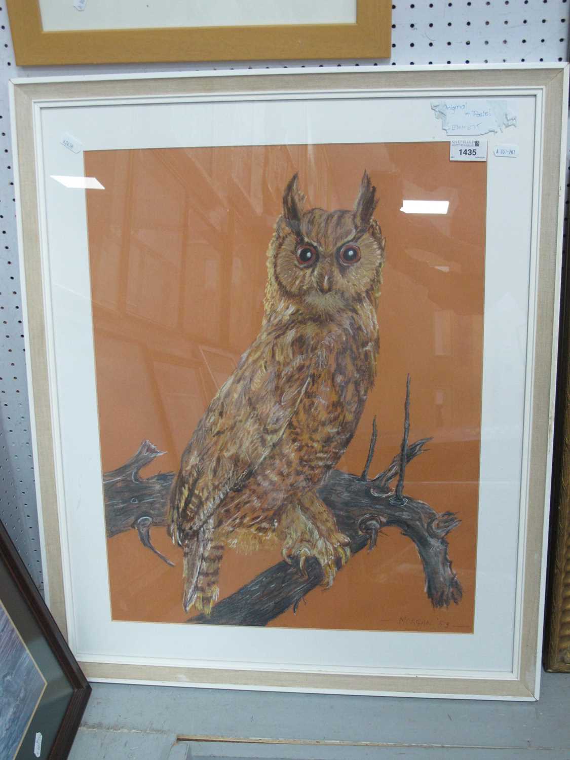 Morgan-83, Pastel picture of an Eagle, Owl on a branch, signed bottom right 56 x 43.