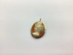 An Oval Shell Carved Cameo Brooch / Pendant, depicting female profile (pin indistinctly stamped).