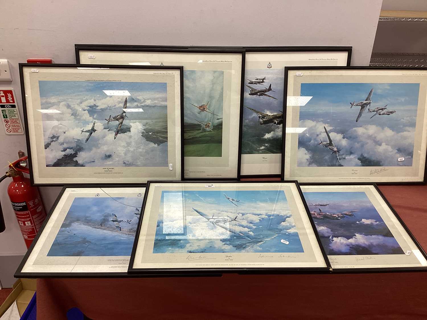 Aviation Framed Prints (9), of Spitfires, Hurricanes, Wellingtons, etc, after Robert Taylor