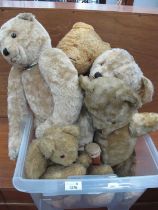 Five Gold Plush Teddy Bears, including Canterbury (5).