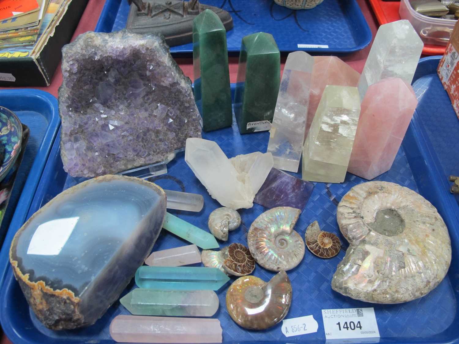 Ammenites, amethyst geode, mineral samples, including rose quartz, aventurine etc:- One Tray.