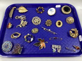 An Assortment of Gilt Coloured Costume Brooches, to include imitation pearl bead set starburst