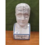 L.N. Fowler Phrenology Head, 28cm high.