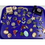 A Collection of Modern Brooches, to include gilt tone foliage design, costume cameo portrait, enamel