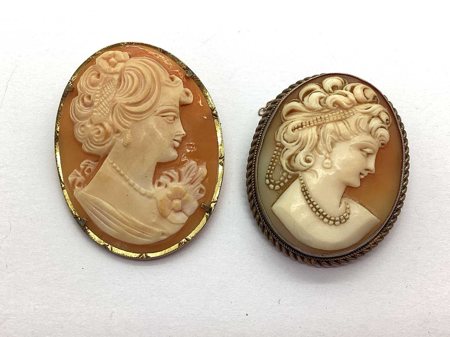 An Oval Shell Carved Cameo Pendant / Brooch, depicting female profile, claw set (indistinctly