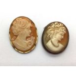 An Oval Shell Carved Cameo Pendant / Brooch, depicting female profile, claw set (indistinctly