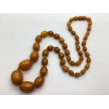 An Amber Colour Single Strand Graduated Bead Necklace, knotted. weight 50grams