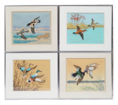 SET OF 4 ORNITHOLOGICAL WATERCOLOURS