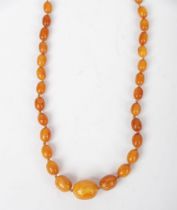 EGG YOLK AMBER BEADS