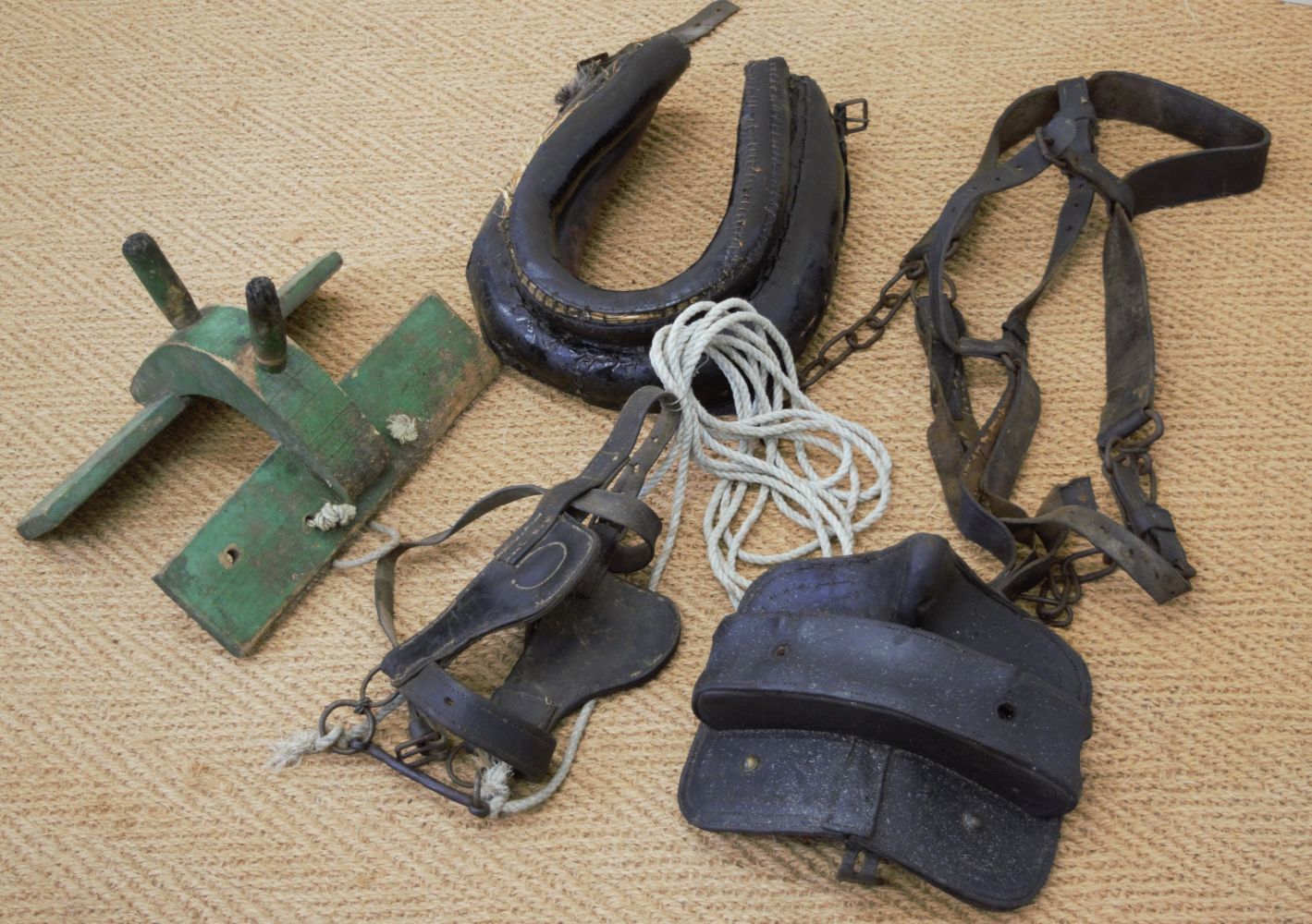 GROUP OF DONKEY HARNESSES
