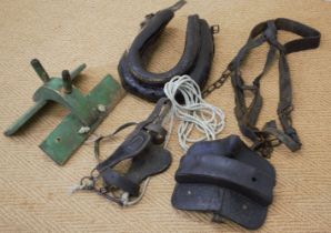GROUP OF DONKEY HARNESSES