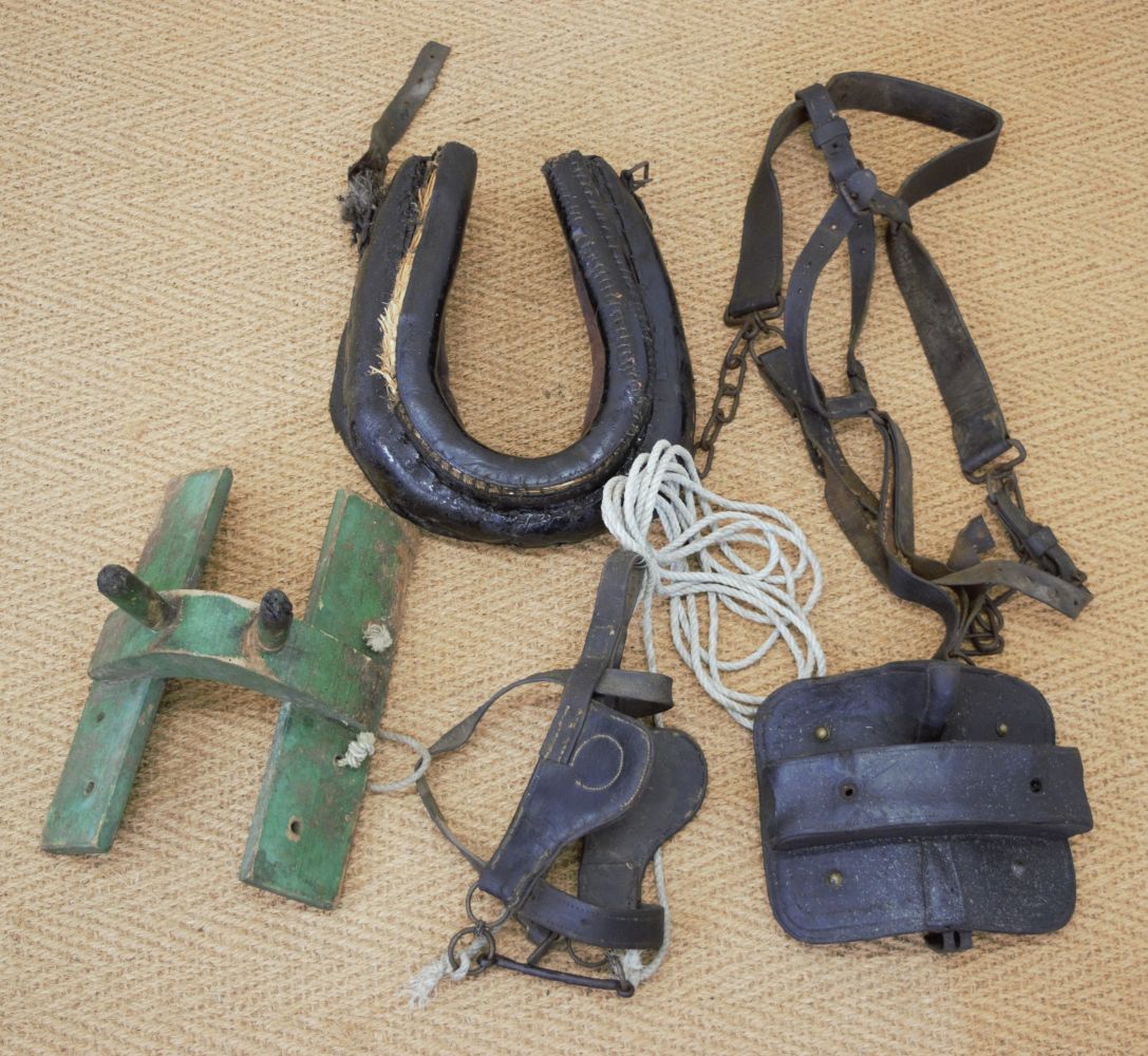 GROUP OF DONKEY HARNESSES - Image 2 of 3