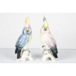 PAIR GERMAN PORCELAIN POLYCHROME PARAKEETS