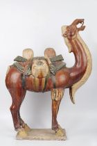 CHINESE SANCAI CAMEL