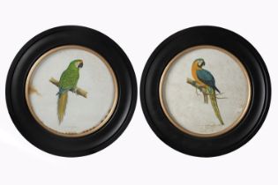 PAIR ORNITHOLOGICAL PRINTS