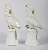 2 NEUTETTAU BAVARIAN PORCELAIN COCKATOOS