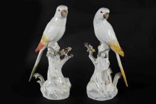 PAIR 19TH-CENTURY MEISSEN POLYCHROME PARAKEETS