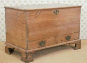 GEORGIAN PINE HALL COFFER