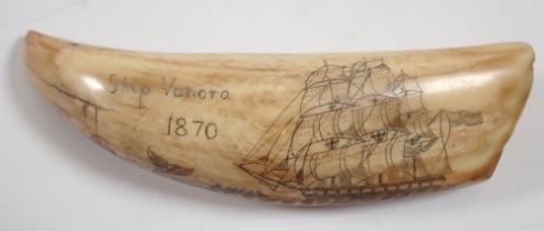 A whales tooth scrimshaw with whale and sailing ship decoration, 15cm long