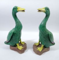 A pair of Chinese glazed pottery ducks, 21cm high