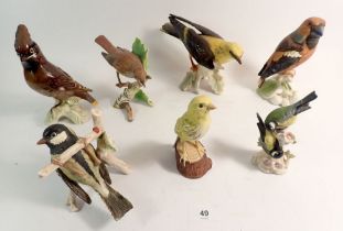 Seven various Goebels birds