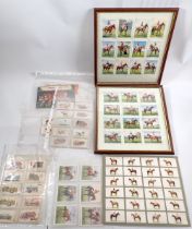 A group of cigarette cards including dogs and horses etc. some framed