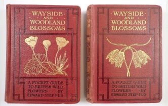 Wayside and Woodland Blossoms, A Pocket Guide by Edward Step Series I and II