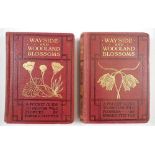 Wayside and Woodland Blossoms, A Pocket Guide by Edward Step Series I and II