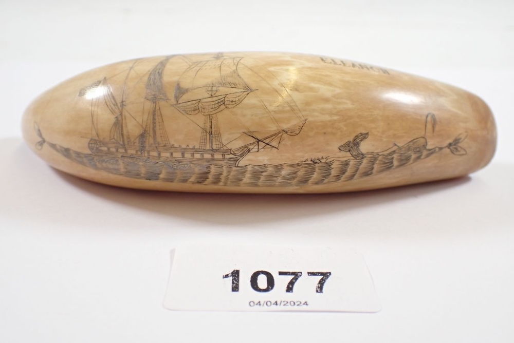A whales tooth scrimshaw, 14cm long - Image 2 of 4