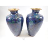 A pair of blue floral cloisonne enamel vases, 23cm