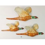 A group of three Beswick pheasant wall plaques - 661/1, 661/2 and 661/3, largest a/f