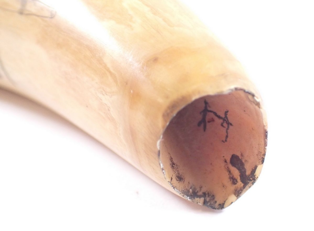 A whales tooth scrimshaw, 14cm long - Image 4 of 4