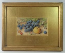 J Gray - watercolour Victorian still life fruit, 10 x 17.5cm