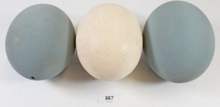 An ostrich egg and two emu eggs, largest 16.5cm tall