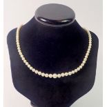 A string of vintage pearls with silver clasp in Mikimoto silk lined case