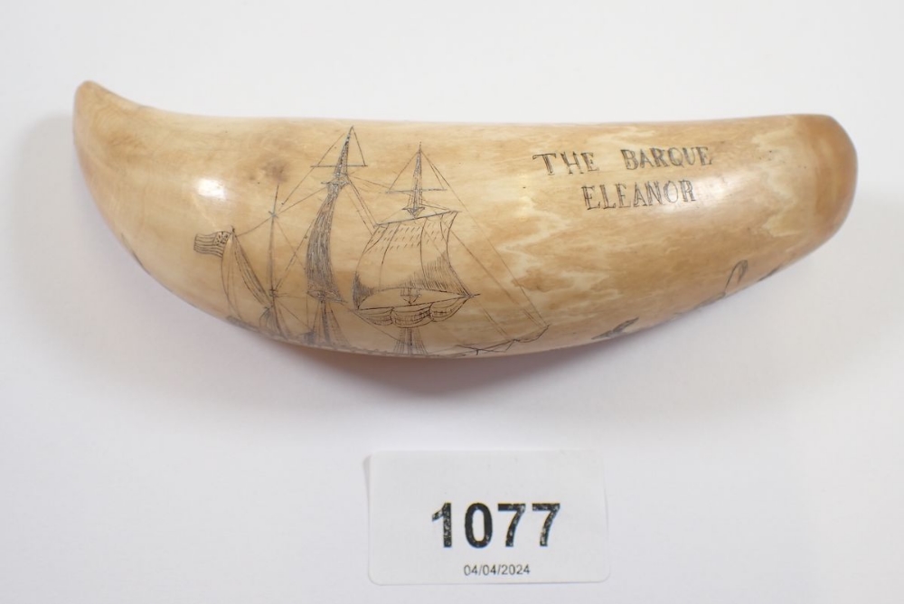 A whales tooth scrimshaw, 14cm long