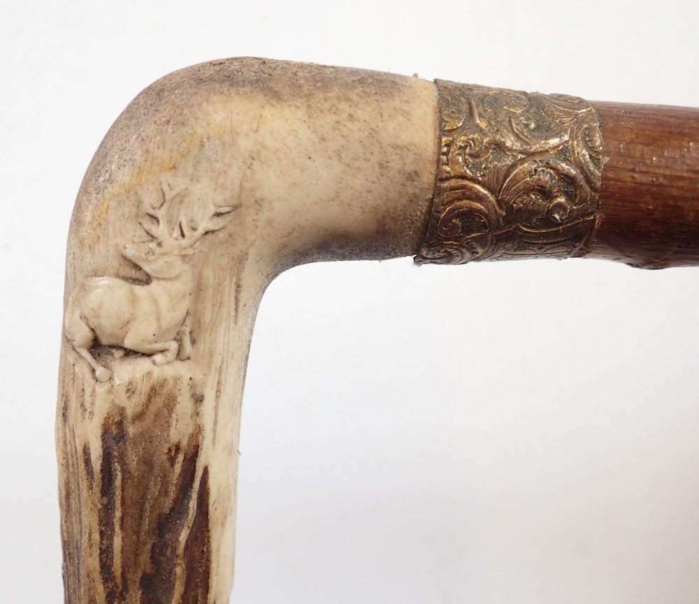 A horn handled walking stick carved stag and hound - Image 4 of 4