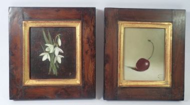 Susie Philipps - two small oil on panel still life studies of cherry & snowdrops, monogrammed SP, 10