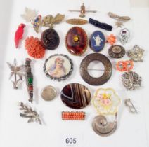 A selection of brooches