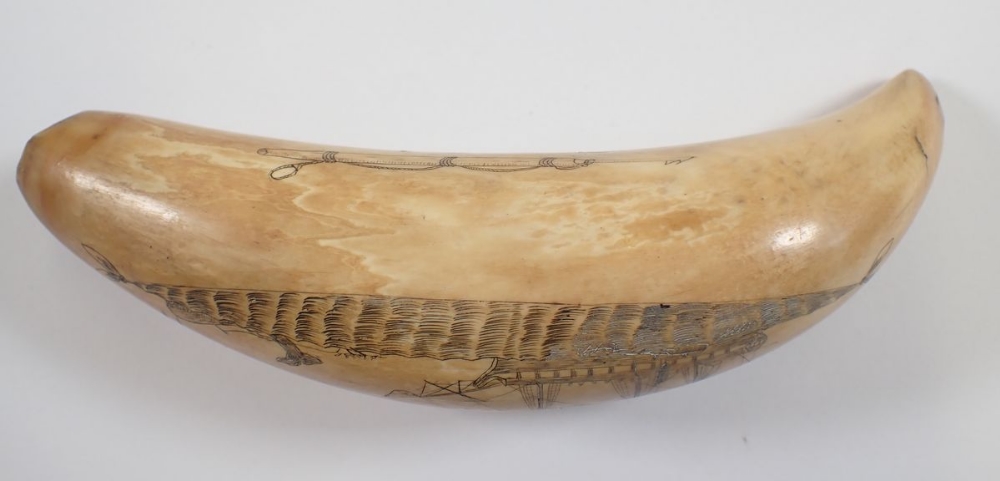 A whales tooth scrimshaw, 14cm long - Image 3 of 4