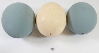 An ostrich egg and two emu eggs, largest 15cm tall