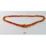 A long amber bead necklace, 68cm long, 60g