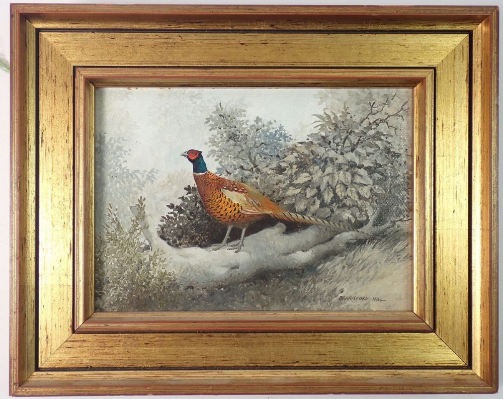 Beresford Hill - oil on board of a pheasant, 12 x 17cm