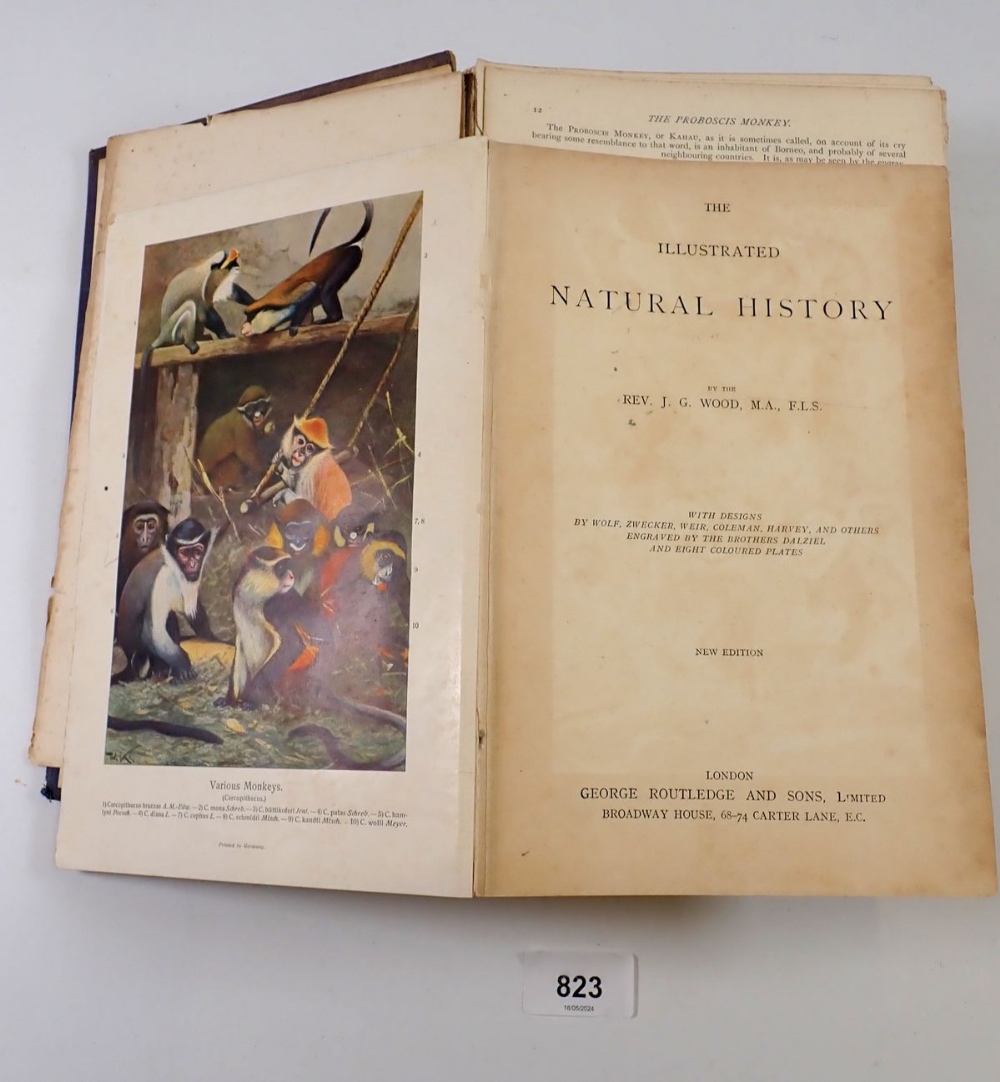 The Illustrated Natural History by the Rev J G Wood