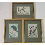 Three Cash's embroidered pictures of birds, 11 x 7cm