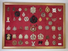 A framed display of fifty military cap badges, helmet badges etc.